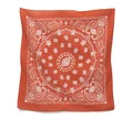 Bandana oversize American Heritage - Arancione vintage
