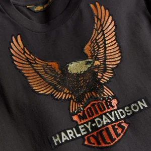 Maglia a maniche lunghe - Vintage Eagle - immagine 3