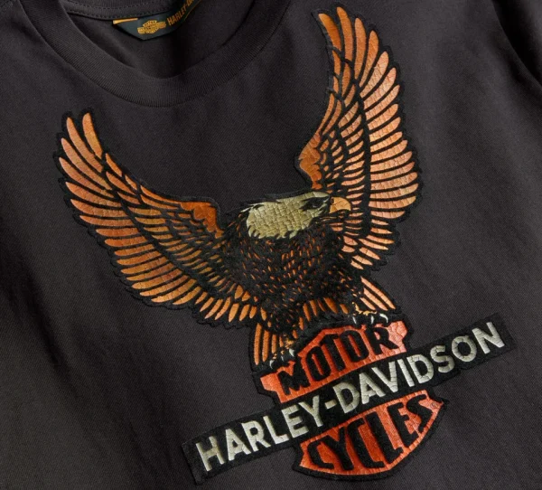 Maglia a maniche lunghe - Vintage Eagle