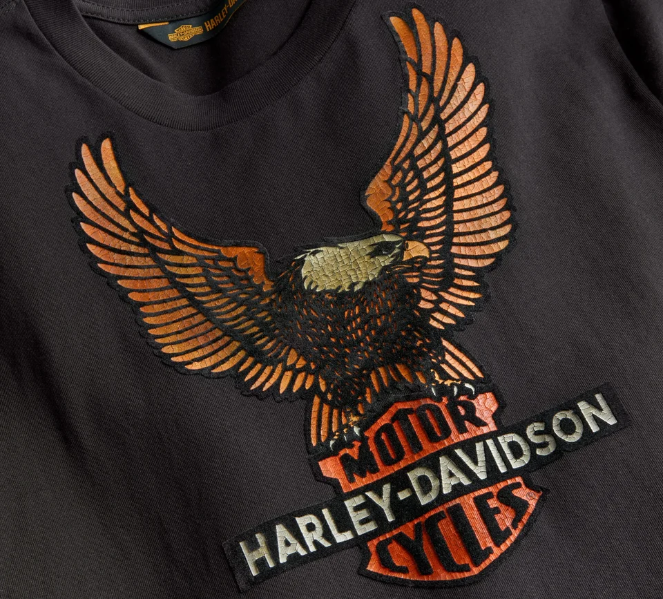 Maglia a maniche lunghe - Vintage Eagle - immagine 3
