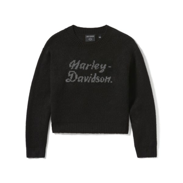 Maglione Intarsia con scritture metalliche