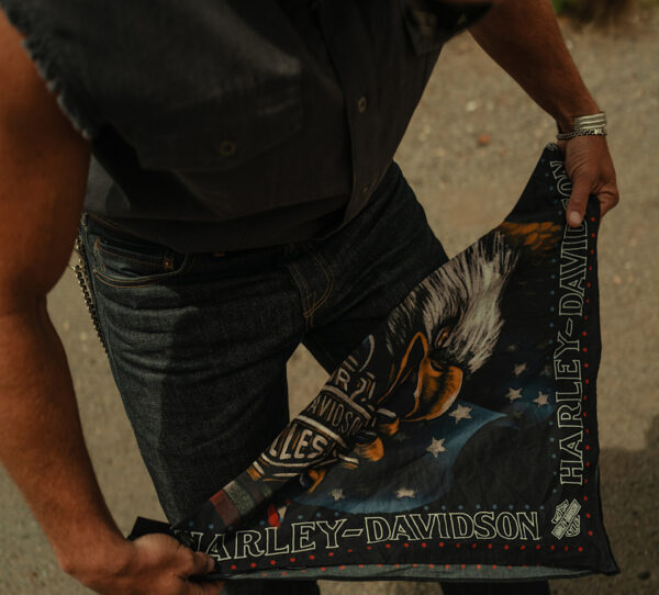 Bandana Eagle con stelle e strisce