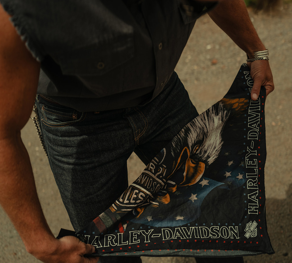 Bandana Eagle con stelle e strisce - immagine 3